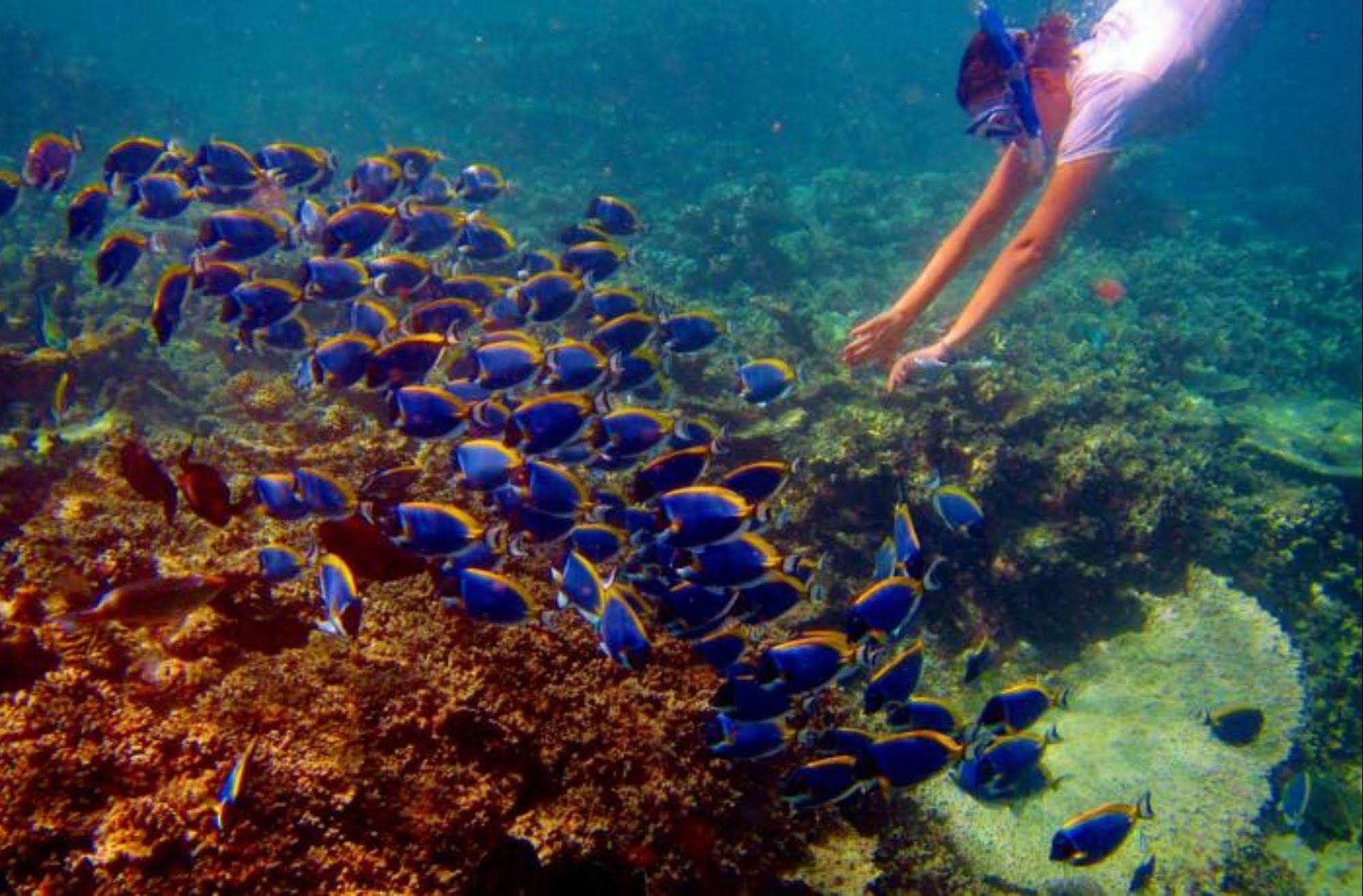 Hotel Octave Maldives Malé Eksteriør bilde